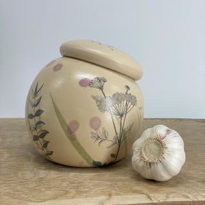 Garlic pot, salt pot, pottery pot, sugar pot