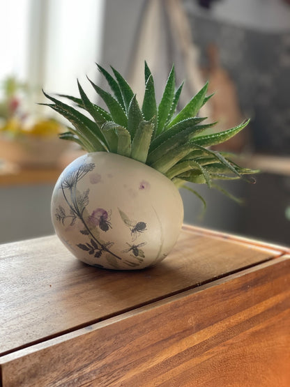 Salt Cellar, Salt Pig Salt keeper, ceramic salt pot, botanical
