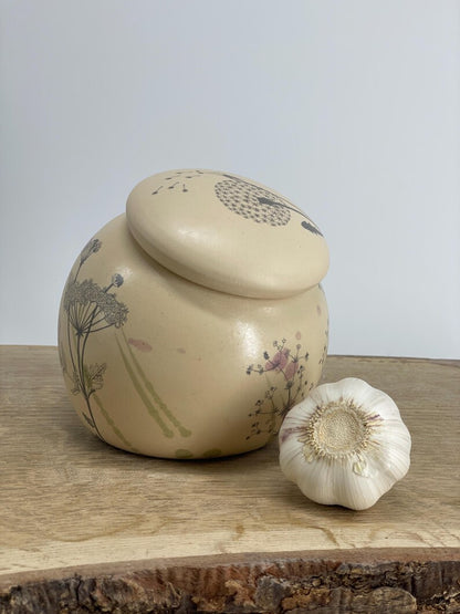 Garlic pot, salt pot, pottery pot, sugar pot