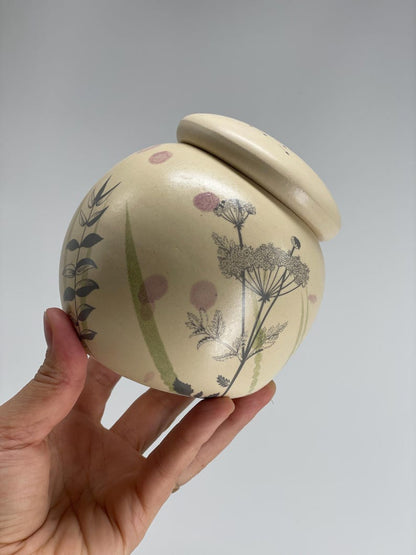 Garlic pot, salt pot, pottery pot, sugar pot