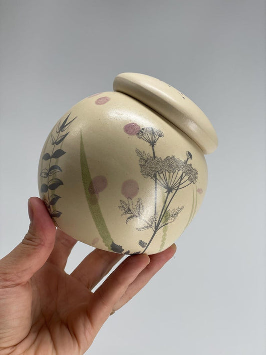 Garlic pot, salt pot, pottery pot, sugar pot