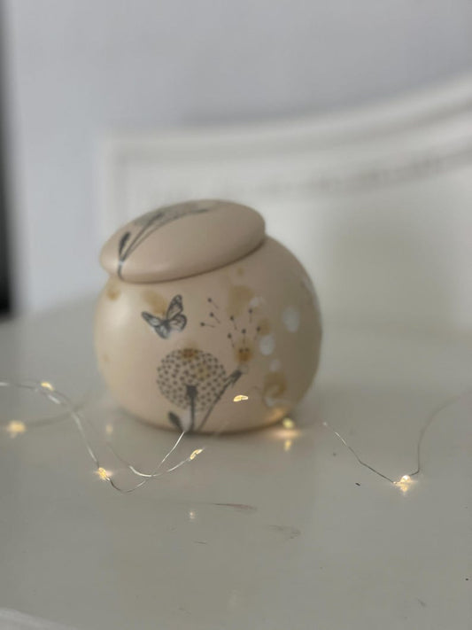 Garlic pot, salt pot, pottery, sugar pot, keeper