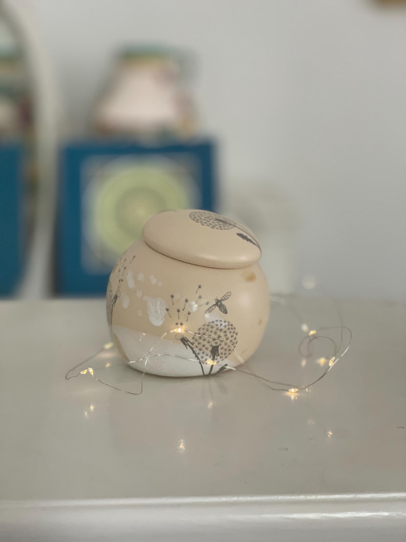 Garlic pot, salt pot, pottery, sugar pot, keeper