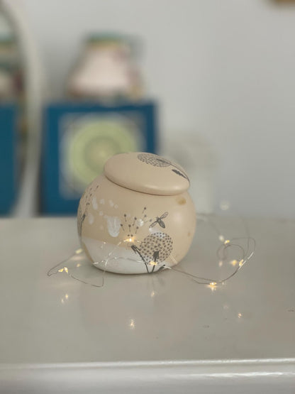 Garlic pot, salt pot, pottery, sugar pot, keeper