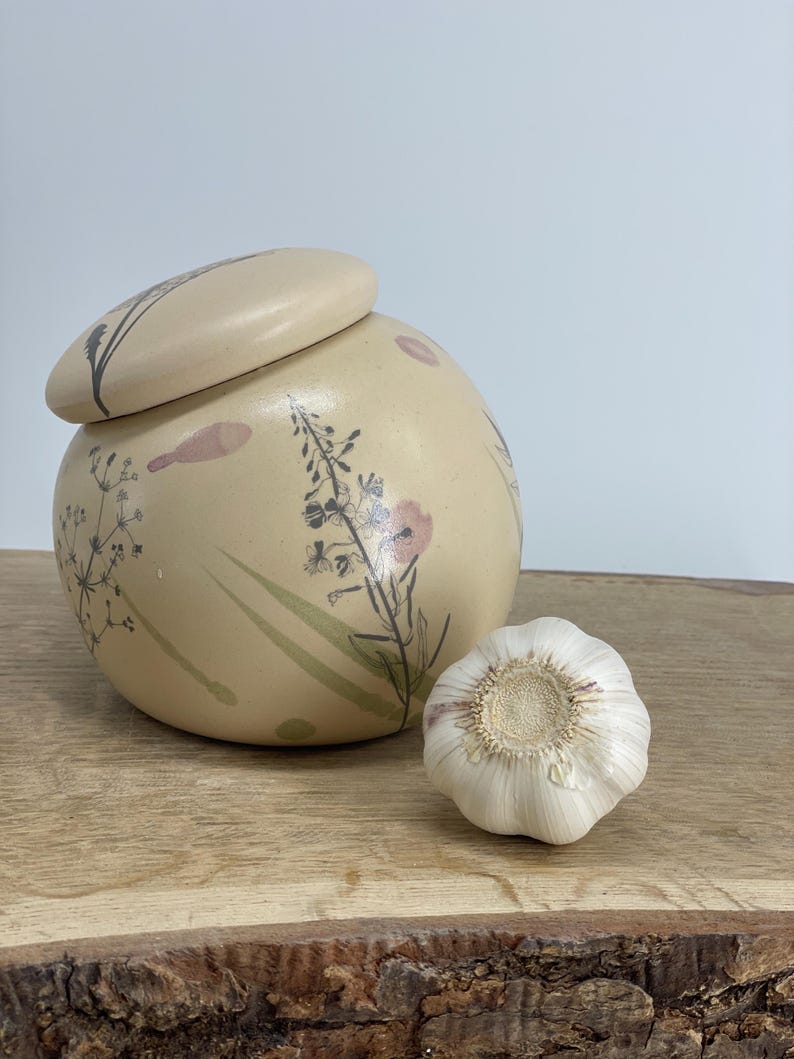 Garlic pot, salt pot, pottery pot, sugar pot