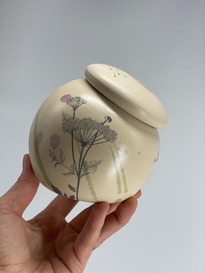 Garlic pot, salt pot, pottery pot, sugar pot