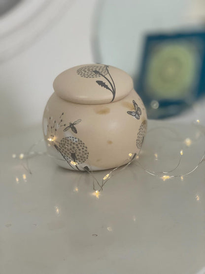Garlic pot, salt pot, pottery, sugar pot, keeper